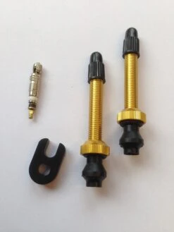 Barbieri Tubeless Ventile 45mm Gold